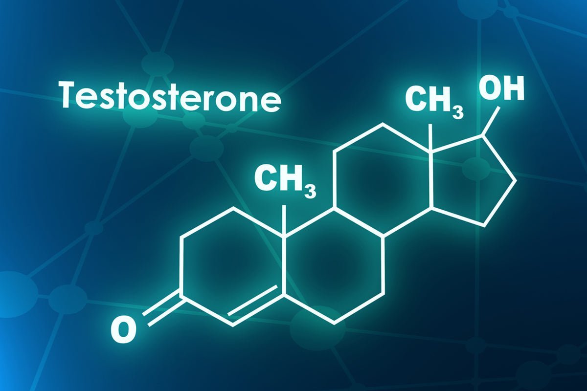 Unveiling the Power of Testosterone - FirmTech Inc
