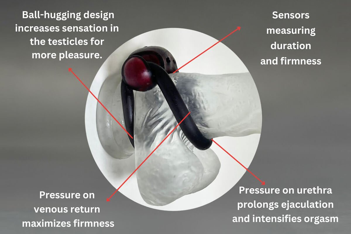 The Benefits Of Penoscrotal Rings - FirmTech Inc